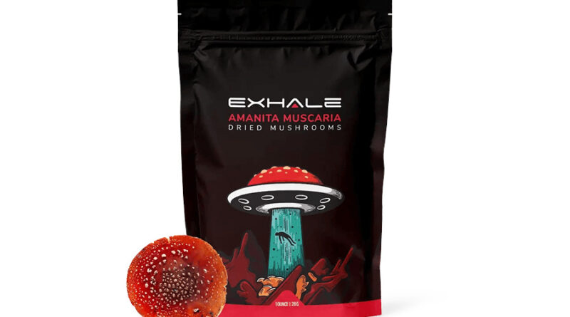 The Buyer’s Guide to Amanita Muscaria Gummies