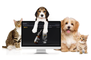Gentle Daily Relief Helps Older Pets Stay Happy Comfortable and Pain Free