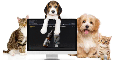Gentle Daily Relief Helps Older Pets Stay Happy Comfortable and Pain Free