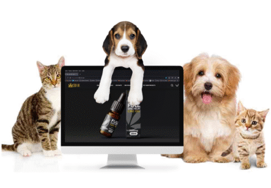 Gentle Daily Relief Helps Older Pets Stay Happy Comfortable and Pain Free