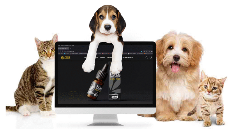 Gentle Daily Relief Helps Older Pets Stay Happy Comfortable and Pain Free