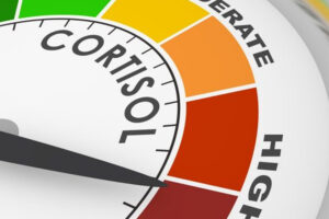 Chronic Stress and Cortisol